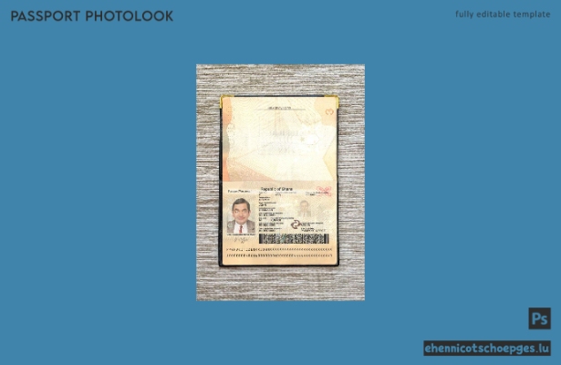 Beispielansicht eines Passfotos für Ghana